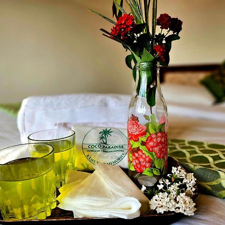 Coco Paradise Homestay Shrīrangapattana 外观 照片